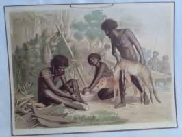 Australian alkuasukkaita opetustaulu