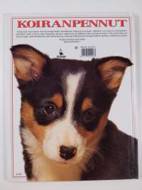Koiranpennut