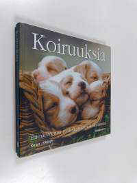 Koiruuksia : elämänmenoa nelijalkaisten näkökulmasta
