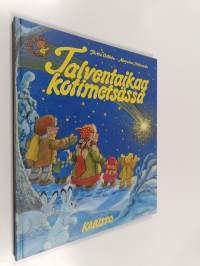 Talventaikaa kotimetsässä