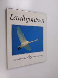 Laulujoutsen