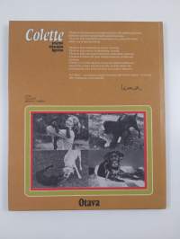 Colette, pieni musta koira