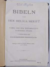 Bibeln eller den heliga skrift