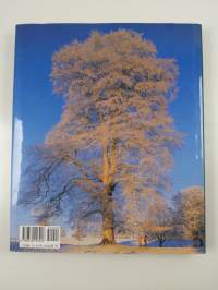 Meetings with Remarkable Trees
