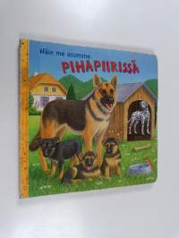 Näin me asumme pihapiirissä - Pihapiirissä