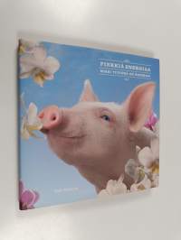 Pinkkiä energiaa : miksi tyttönä on hauskaa!