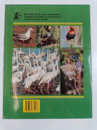 Birds of Southern Africa