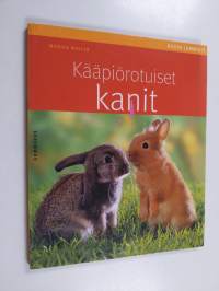 Kääpiörotuiset kanit