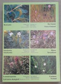 Suomen kasvit - Finlands växter - The Finnish flora