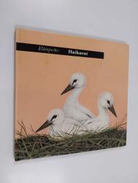 Eläinperhe : Haikarat