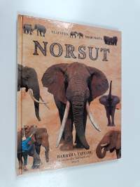 Norsut