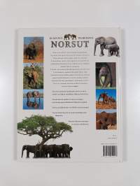 Norsut