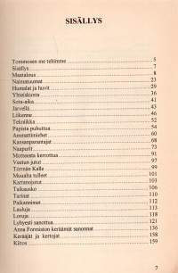 Wesilahti veistelee