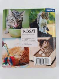 Kissat : käyttäytyminen, rodut, terveys, turkinhoito