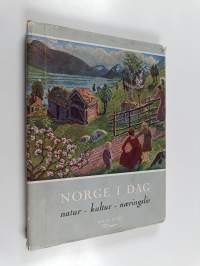 Norge i dag