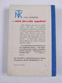 mitä järvellä tapahtui