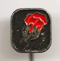 SDP 1985  pinssi  rintamerkki