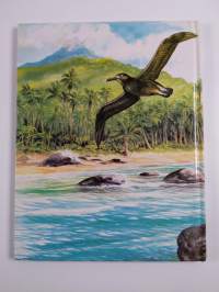 Albatrossin pesä
