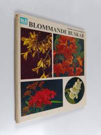 Blommande buskar