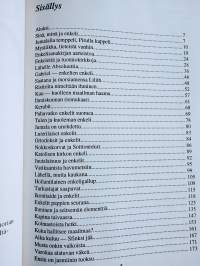 Enkelten maailma - Suojelusenkeleistä langenneisiin enkeleihin