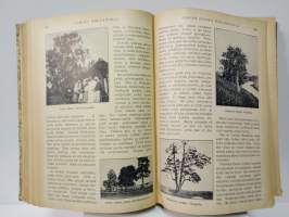 Otava - Kuvallinen kuukauslehti vuosikerta 1919