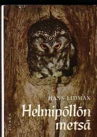 Helmipöllön metsä