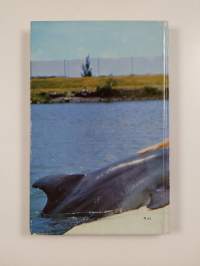 Flipper : Coral Keyn Robinson : Kertomus tunnetusta televisiosarjasta