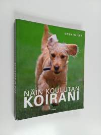 Näin koulutan koirani