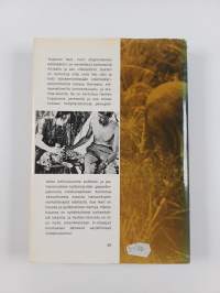 Daktari - viidakkotohtori