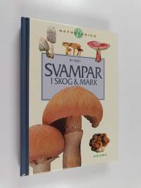 Svampar is skog &amp; mark