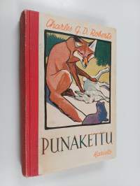 Punakettu