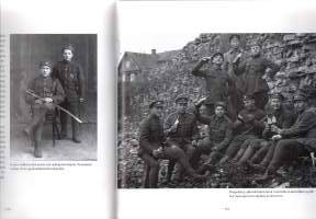 Viron vapaussota 1918-1920