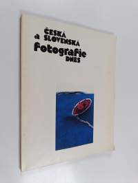Česká a slovenská fotografie dnes