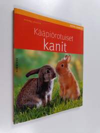 Kääpiörotuiset kanit