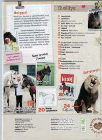 Penny Girl 9 /15.Tarinaa,oppeja hevosista mutta saapa leijonakin pienen tilan. Kaksi hevosjulistetta ja söpö leijona. Sarjakuva Willy 1 sivu, Stormista 18. Sivuja 51
