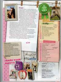 Penny Girl 11/ 13, Sivuja 51,Sarjakuvan Ilkeälle professorille on sivuja 24.Pipari ohjeet ja siilin piirtämistä ja vitsejäkin