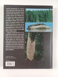 Balladi erämaajärvestä