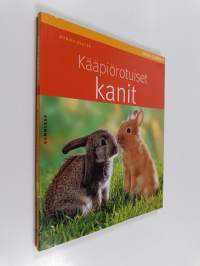 Kääpiörotuiset kanit
