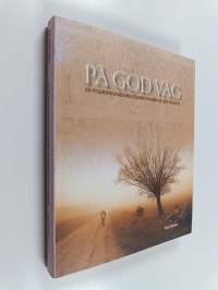 På god väg : en pilgrimsvandring genom Frankrike och Spanien