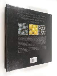 Wines of Italy. Il gusto italiano del vino