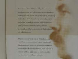 Kumma kuvajainen - Rasismi rotututkimuksessa, rotuteorioiden saamelaiset ja suomalainen fyysinen antropologia