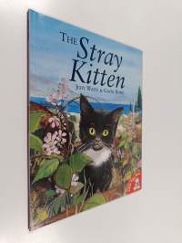 The Stray Kitten