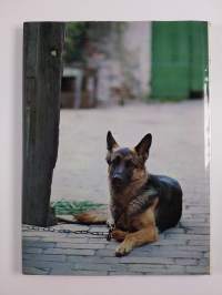 The Love of Dogs