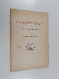 Storkyrkan : vägledning för besökande