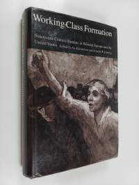 Working-class formation : nineteenth-century patterns in Western Europe and the United States