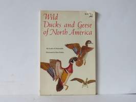 Wild Ducks and Geese of North America