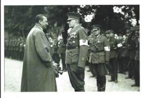 Lottapäivät Turku 1929 Mannerheim - postikortti kulkematon