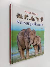 Norsunpoikanen