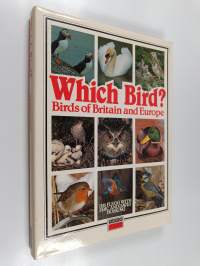 Which bird? Birds of Britain and Europe