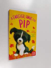 A forever home for Pip